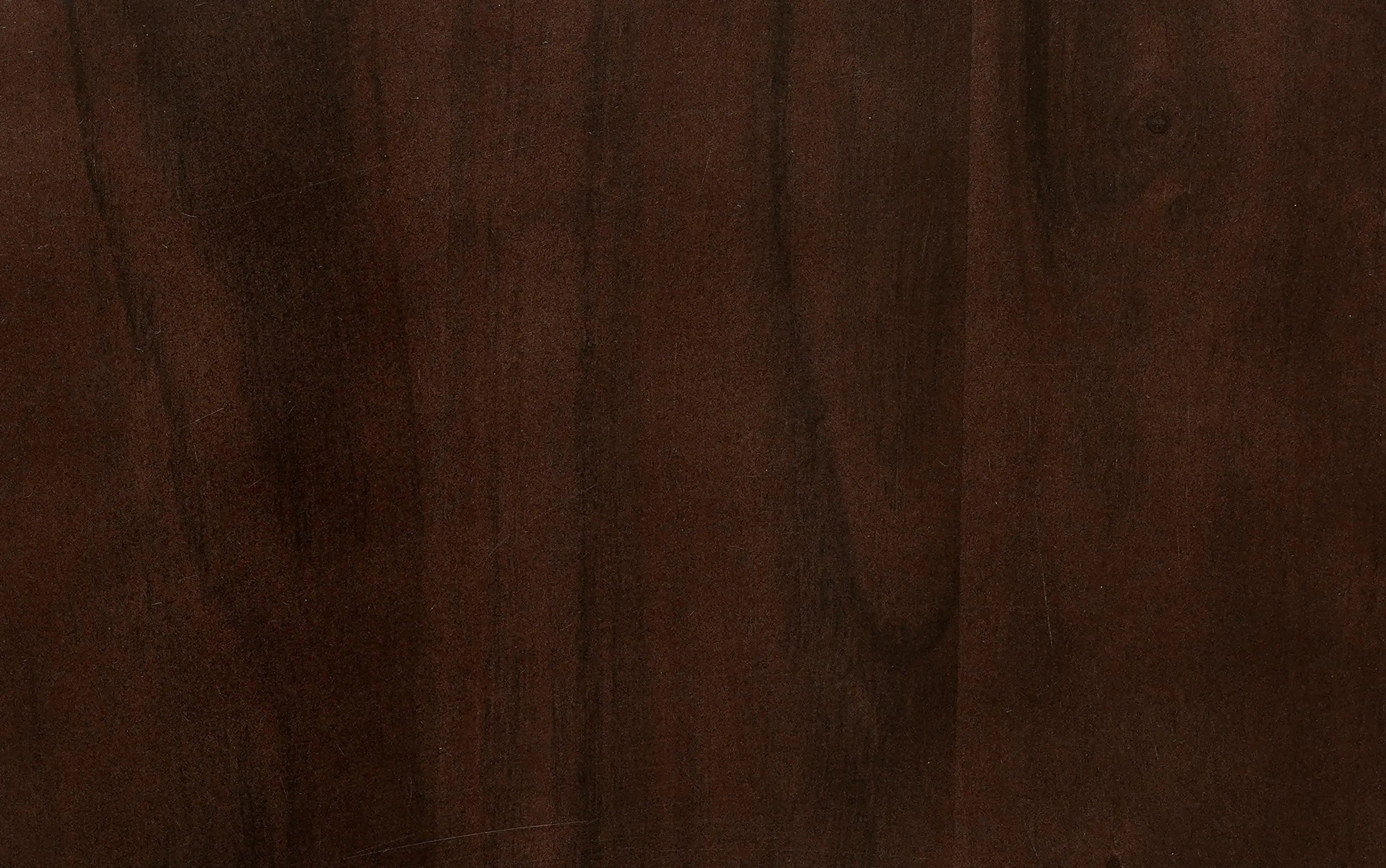 Clairmont Coffee Table in Acacia