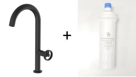 Forte Matte Black, kitchen mixer tap