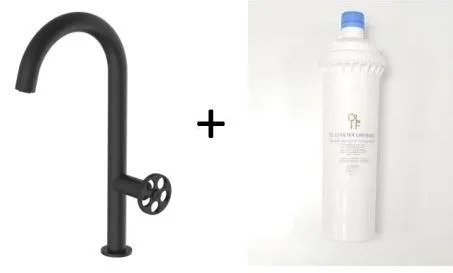 Forte Matte Black, kitchen mixer tap