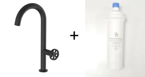 Forte Matte Black, kitchen mixer tap