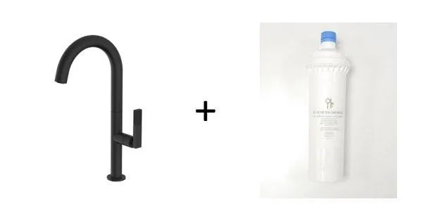 Forte Matte Black, kitchen mixer tap